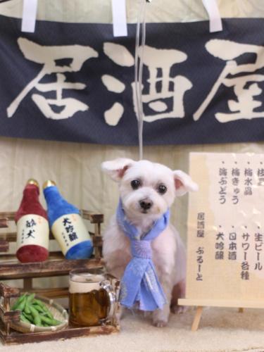 20240622ヒメちゃん